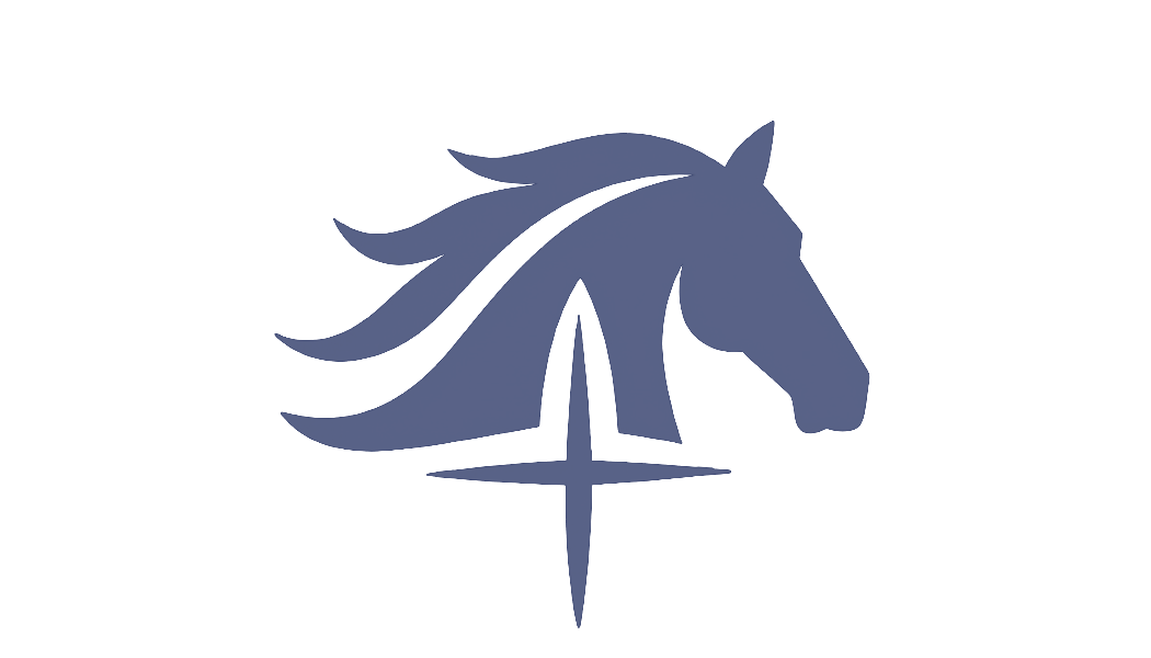 Simplex Via logo